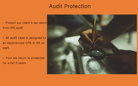 Audit Protection