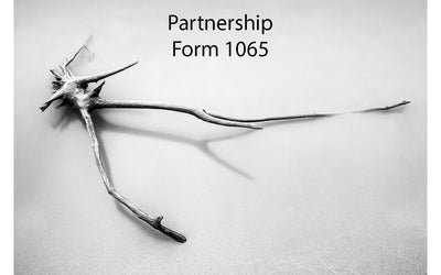 Partnership (form1065)